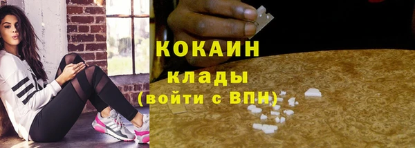 бошки Снежногорск